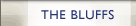 bluffs tab