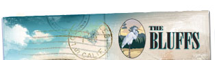 the bluffs nav logo