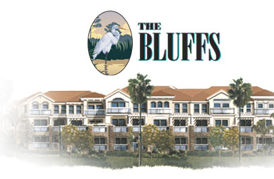 the bluffs rendering